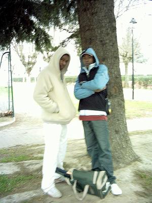 les tennisman